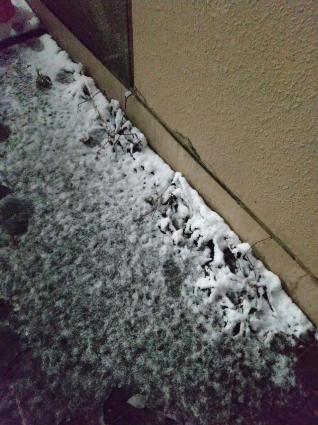 雪～