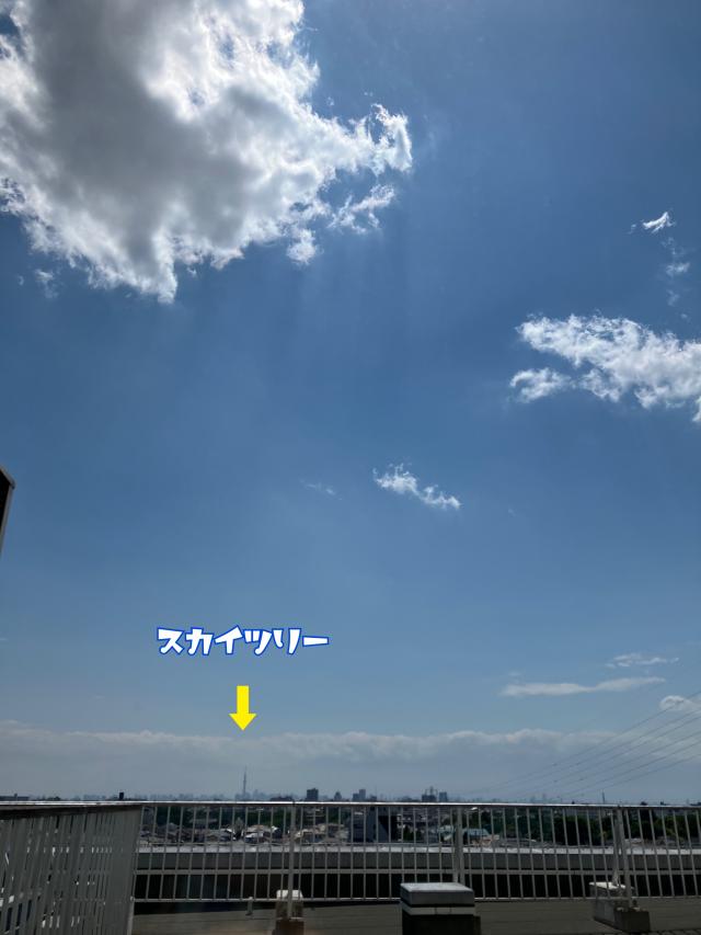 ６日振りの風✨