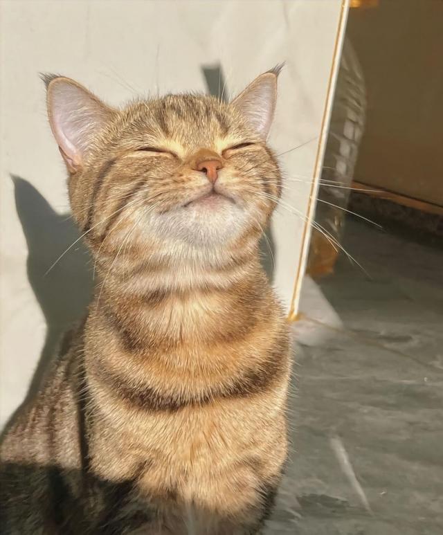 Enjoying sun bath　