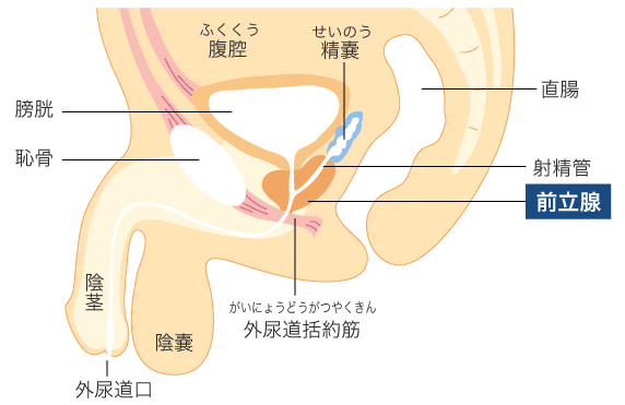 ありがとう