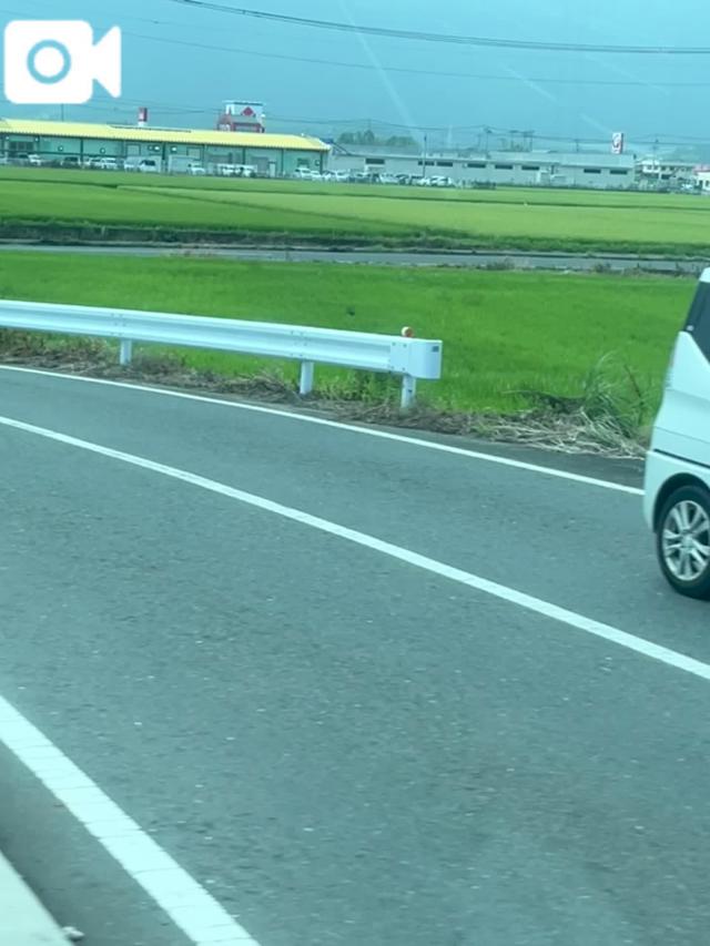 田舎かえったよ！