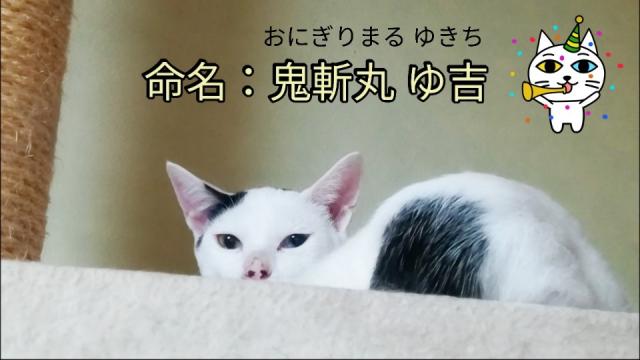 猫の名は♪