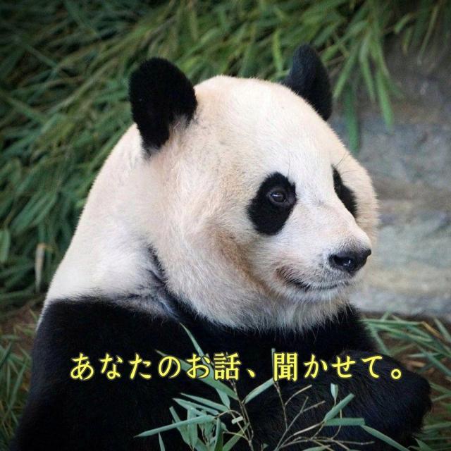 おはようございます。。。