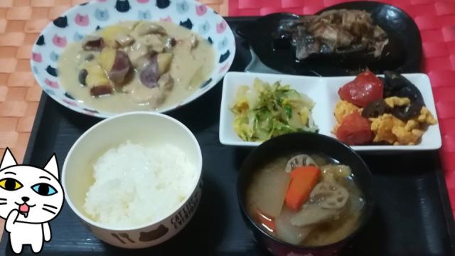 たんぱく質と食物繊維♪