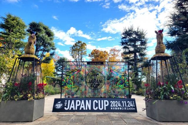 【 Japan Cup　 】